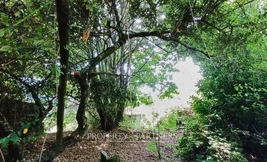 ¡Oportunidad de Inversión! Terreno Comercial en Centro Panguipulli!