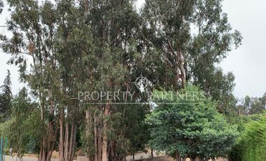 Algarrobo, espectacular casa en medio de la naturaleza