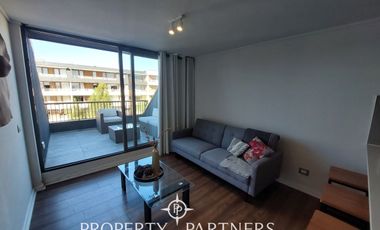 Lindo departamento en gran barrio