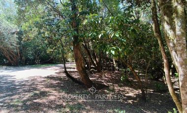 Espectacular casa a orillas del Lago Panguipulli