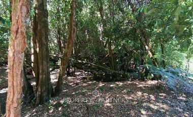 Espectacular casa a orillas del Lago Panguipulli