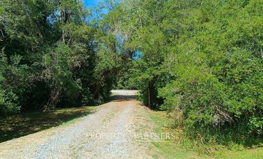 Espectacular casa a orillas del Lago Panguipulli