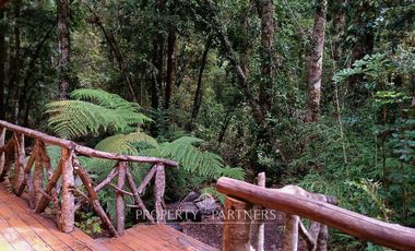 Casa refugio en Reserva Biológica Huilo Huilo