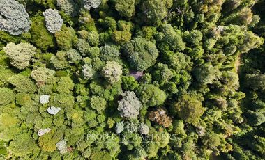 Casa refugio en Reserva Biológica Huilo Huilo