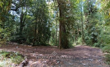 Casa refugio en Reserva Biológica Huilo Huilo