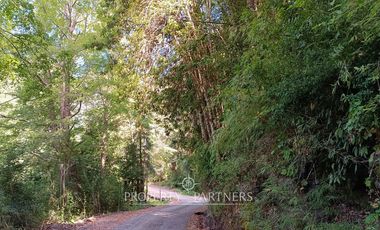 Casa refugio en Reserva Biológica Huilo Huilo