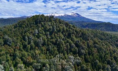 Casa refugio en Reserva Biológica Huilo Huilo