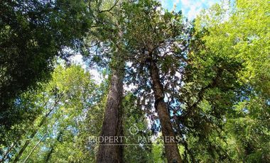 Casa refugio en Reserva Biológica Huilo Huilo