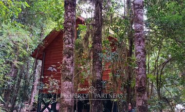 Casa refugio en Reserva Biológica Huilo Huilo