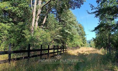 Terrenos de bosque nativo a 15 km de Panguipulli.