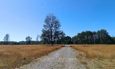 Terrenos de bosque nativo a 15 km de Panguipulli.
