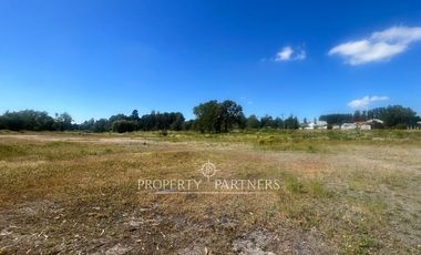 Pacelas Agro - industrial