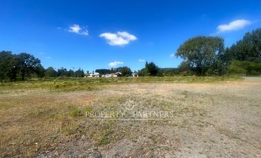 Pacelas Agro - industrial