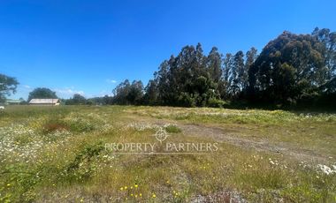 Pacelas Agro - industrial