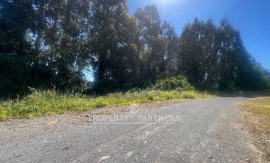 Pacelas Agro - industrial