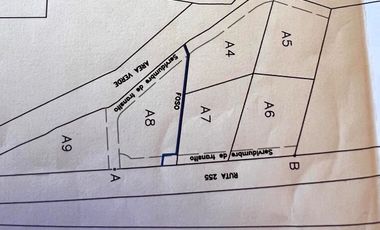 Pacelas Agro - industrial
