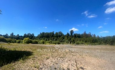 Pacelas Agro - industrial