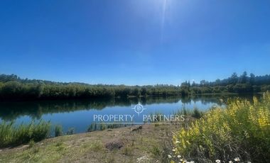 Pacelas Agro - industrial