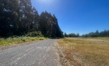 Pacelas Agro - industrial