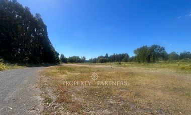 Pacelas Agro - industrial