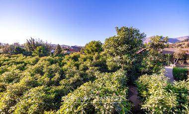 Amplia casa luminosa en parcela