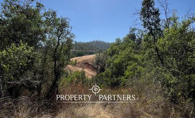 Casablanca, Maravillosa parcela con arboles nativos