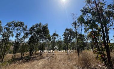Casablanca, Maravillosa parcela con arboles nativos