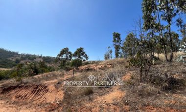 Casablanca, Maravillosa parcela con arboles nativos