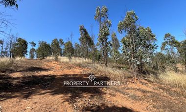 Casablanca, Maravillosa parcela con arboles nativos