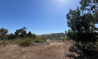 Casablanca, Maravillosa parcela con arboles nativos