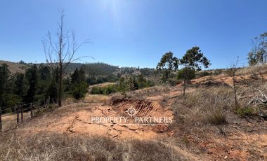 Casablanca, Maravillosa parcela con arboles nativos