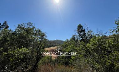 Casablanca, Maravillosa parcela con arboles nativos