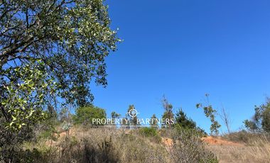 Casablanca, Maravillosa parcela con arboles nativos
