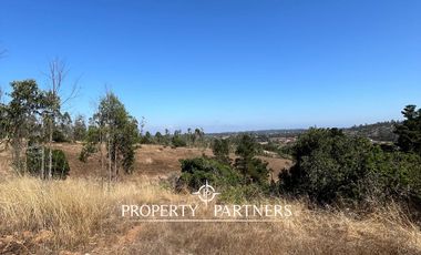 Casablanca, Maravillosa parcela con arboles nativos