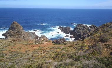 PARCELA COSTA DORADA OVALLE CUARTA REGION