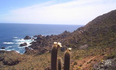 PARCELA COSTA DORADA OVALLE CUARTA REGION
