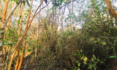 MARAVILLOSA CASA EN SITIO DE 6320 MTS2 PICHIHUAPE VALDIVIA