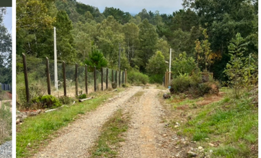 MARAVILLOSA CASA EN SITIO DE 6320 MTS2 PICHIHUAPE VALDIVIA