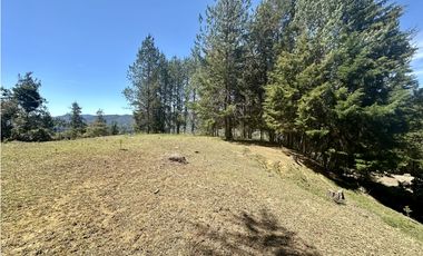 Venta de Lote en Fizebad en el Retiro