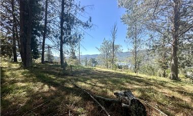 Venta de Lote en Fizebad en el Retiro