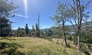 Venta de Lote en Fizebad en el Retiro