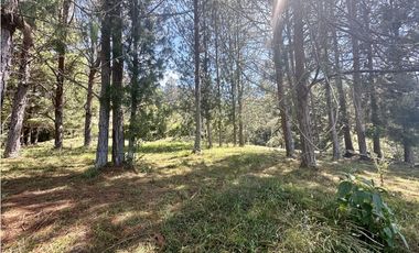 Venta de Lote en Fizebad en el Retiro