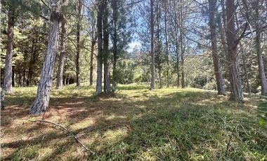 Venta de Lote en Fizebad en el Retiro