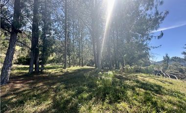 Venta de Lote en Fizebad en el Retiro