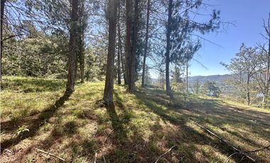 Venta de Lote en Fizebad en el Retiro