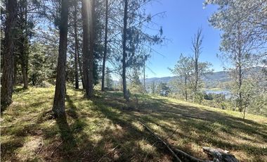 Venta de Lote en Fizebad en el Retiro