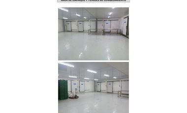 En Venta 