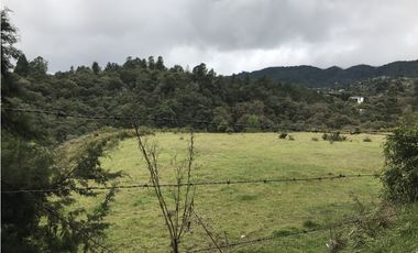 Venta de Lote en el Alto de las Palmas