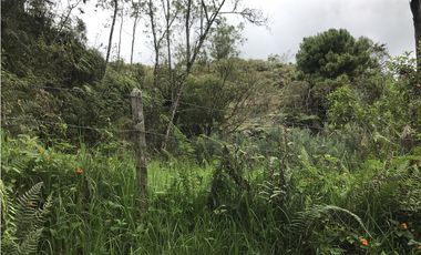 Venta de Lote en el Alto de las Palmas