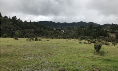 Venta de Lote en el Alto de las Palmas